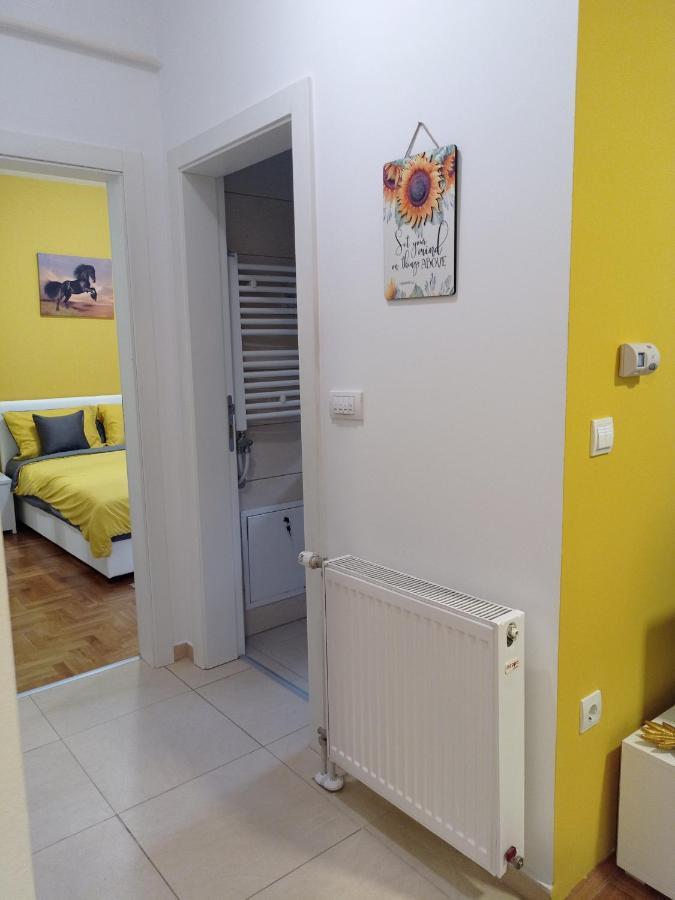 Apartman Sunflower สเรมสกา มิโตรวิตซา ภายนอก รูปภาพ