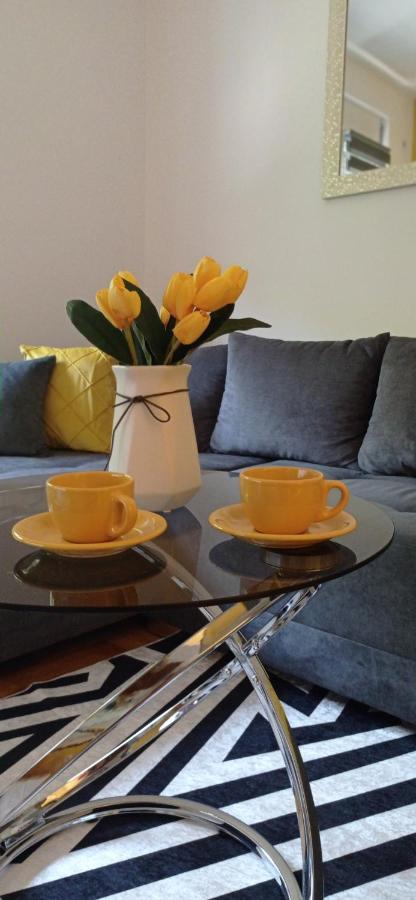 Apartman Sunflower สเรมสกา มิโตรวิตซา ภายนอก รูปภาพ