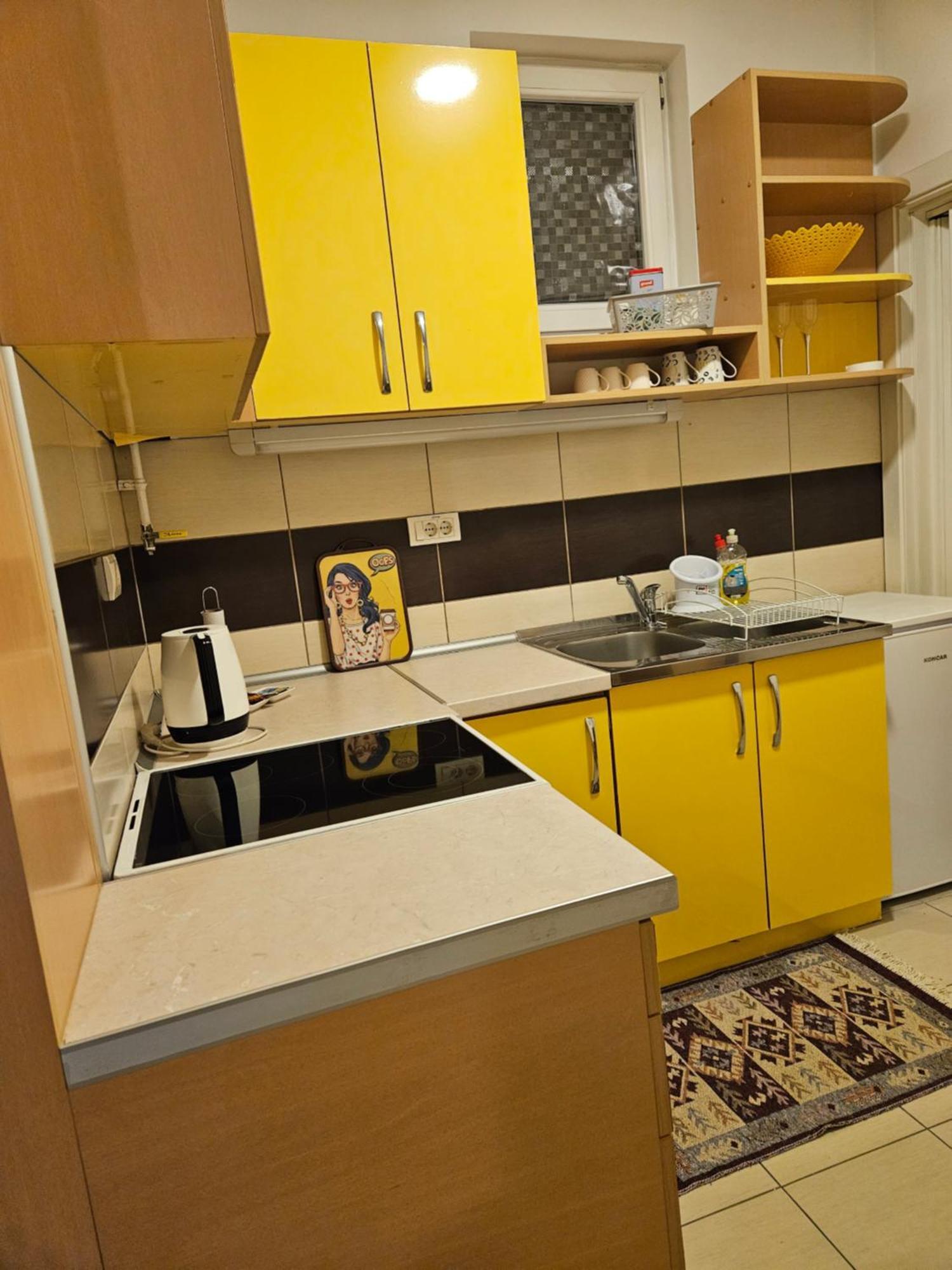 Apartman Sunflower สเรมสกา มิโตรวิตซา ภายนอก รูปภาพ
